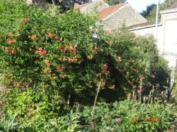 joli_bignone_20211127_1349023681